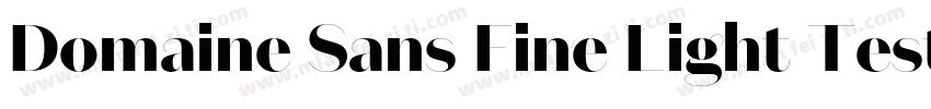 Domaine Sans Fine Light Test Regula字体转换